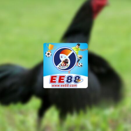 EE88 đá gà SV388 hướng dẫn tham gia siêu dễ dàng